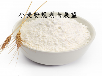 小麦粉规划与展望