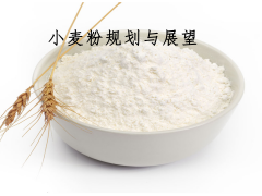 小麦粉规划与展望