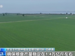 农业农村部：聚焦大豆等五大作物 推进大面积单产提升