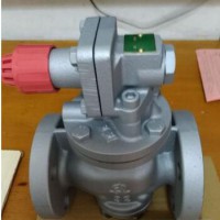 日本VENN阀天蒸汽减压阀 RP-6正宗减压阀
