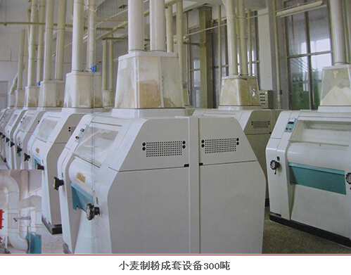300吨面粉加工设备